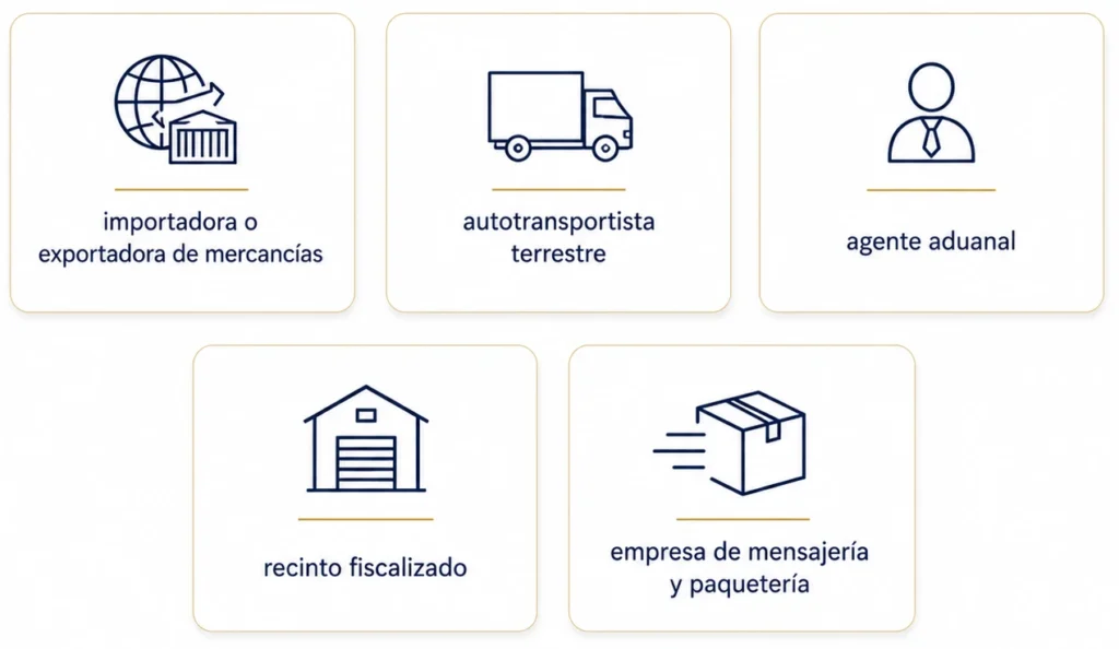 Requisitos específicos según tu perfil operativo
