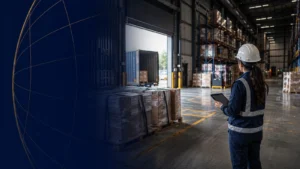 Especialista revisando evidencias operativas en un almacén de exportación para el proceso OEA en México.